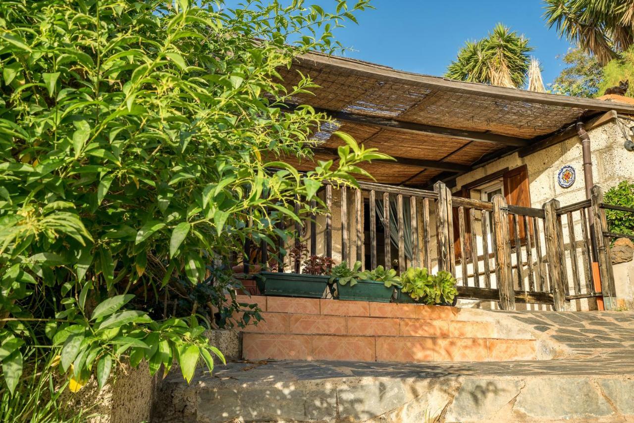 Casitas En El Paraiso 坎德拉里亚 外观 照片